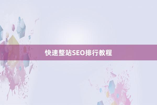 快速整站SEO排行教程